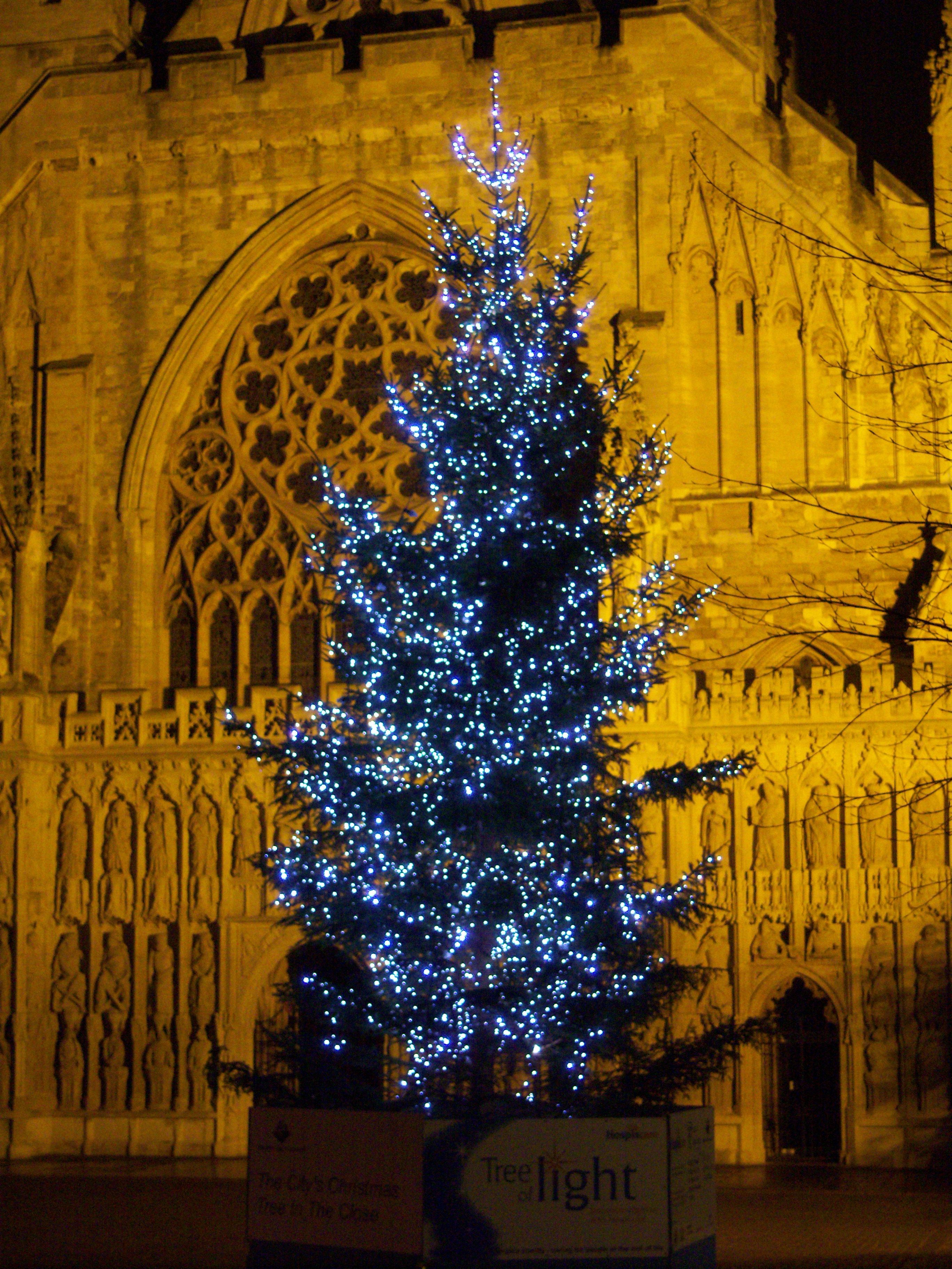 Exeter's inaugural Christmas Market is on its way The Exeter Daily